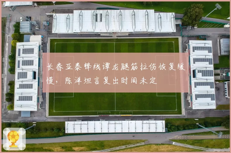 长春亚泰锋线谭龙腿筋拉伤恢复缓慢，陈洋坦言复出时间未定