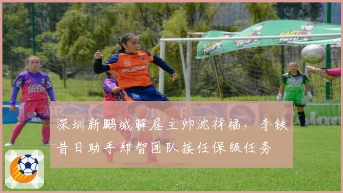 深圳新鹏城解雇主帅沈祥福,李铁昔日助手郑智团队接任保级任务